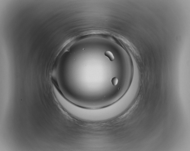 X0000112211185200908071448