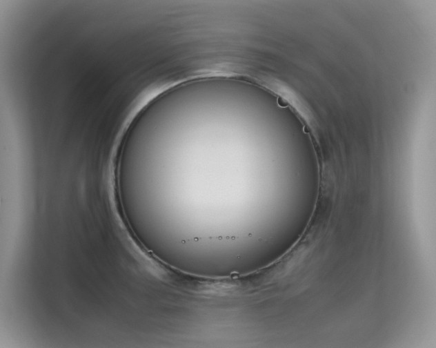 X0000112211187200908071448