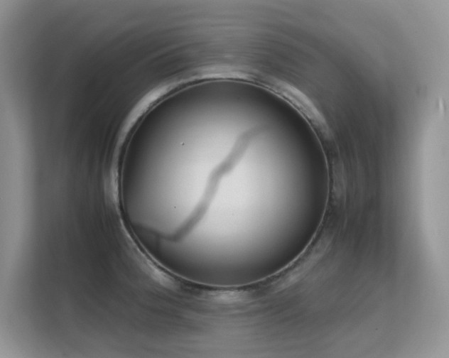 X0000112211188200908071448