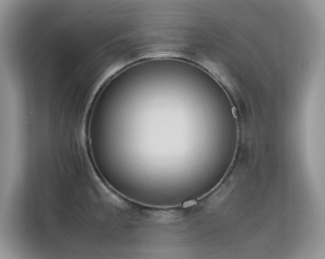 X0000112211189200908071448