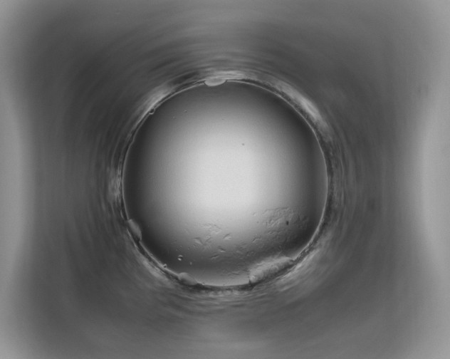 X0000112211193200908071448