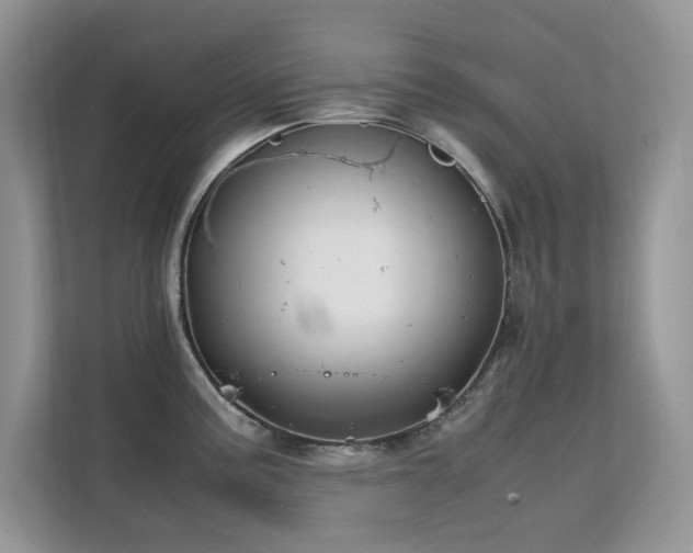 X0000112211195200908071448