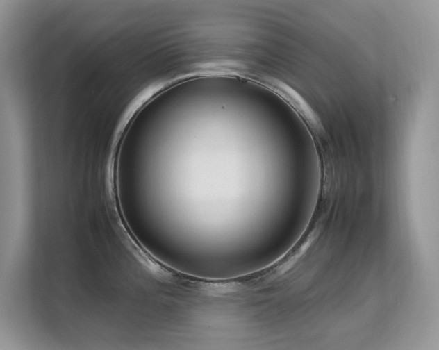 X0000112211196200908071448
