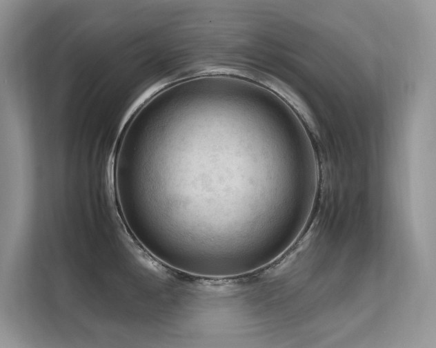 X0000112211198200908071448