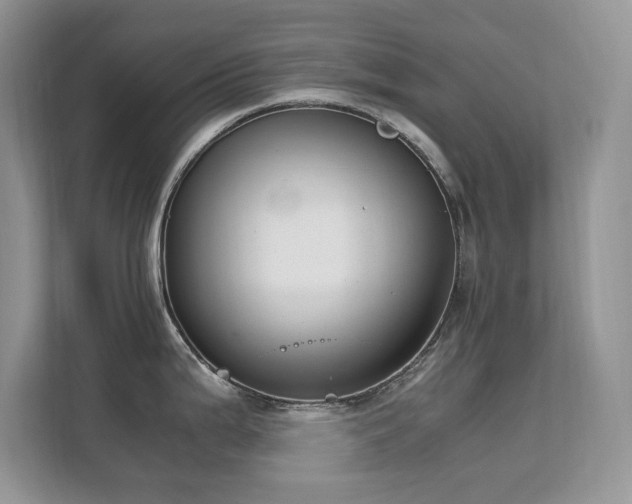 X0000112211199200908071448
