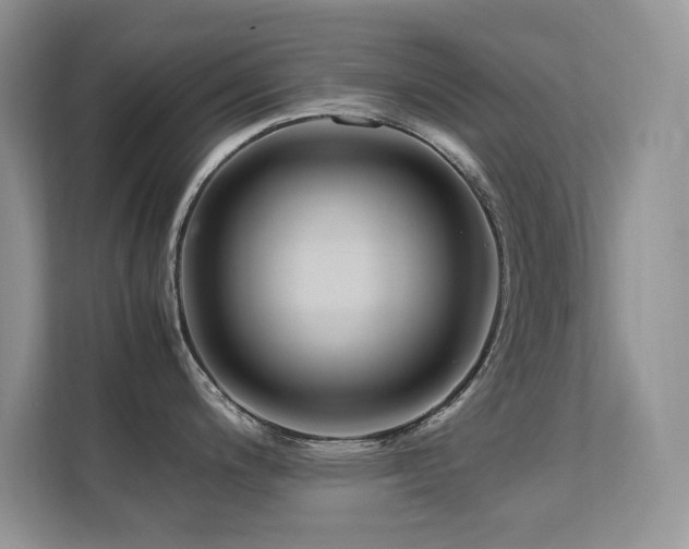 X0000112211200200908071448