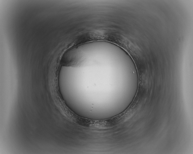 X0000112211201200908071447