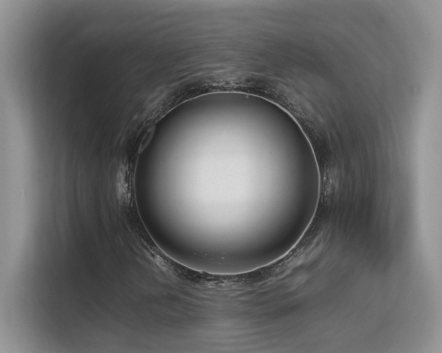 X0000112211202200908071447