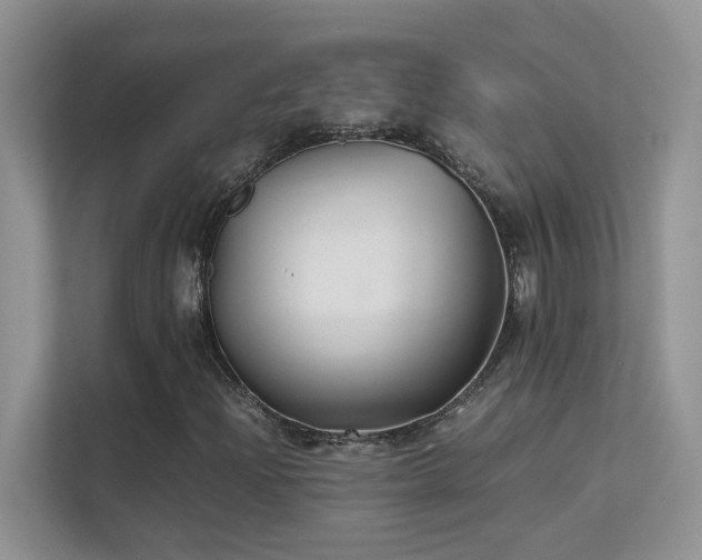 X0000112211204200908071447