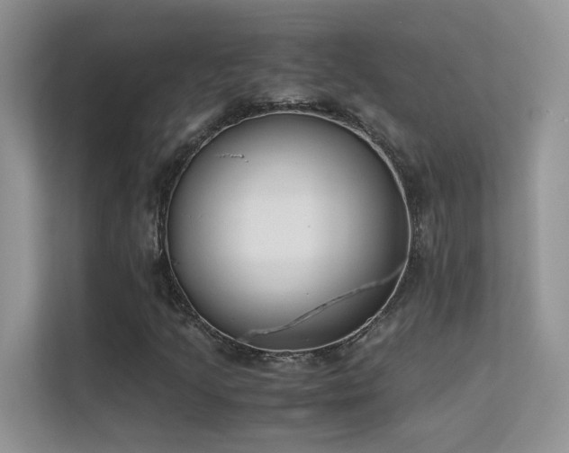 X0000112211205200908071447