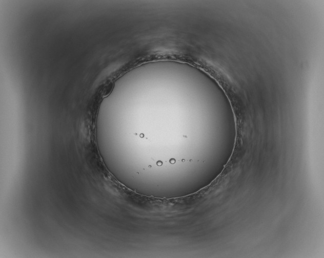 X0000112211207200908071447