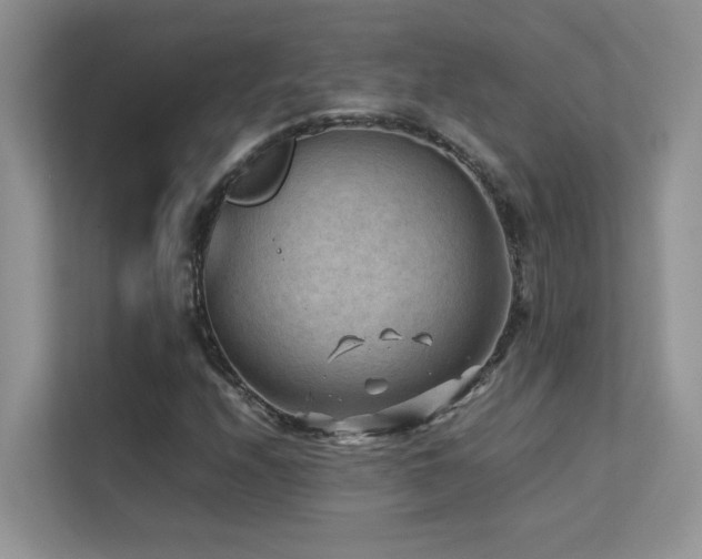 X0000112211208200908071447