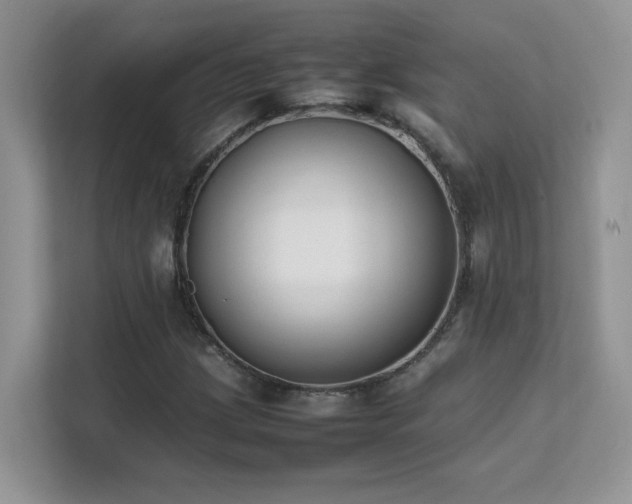 X0000112211209200908071447