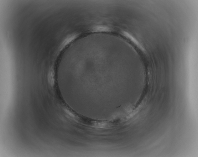 X0000112211213200908071447
