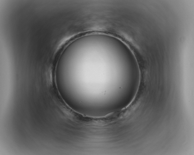 X0000112211214200908071447