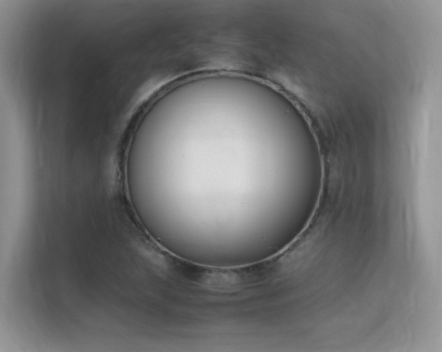 X0000112211215200908071447
