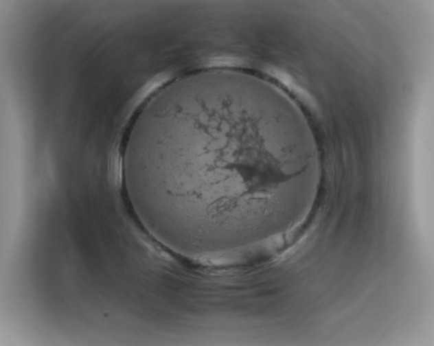X0000112211221200908071447