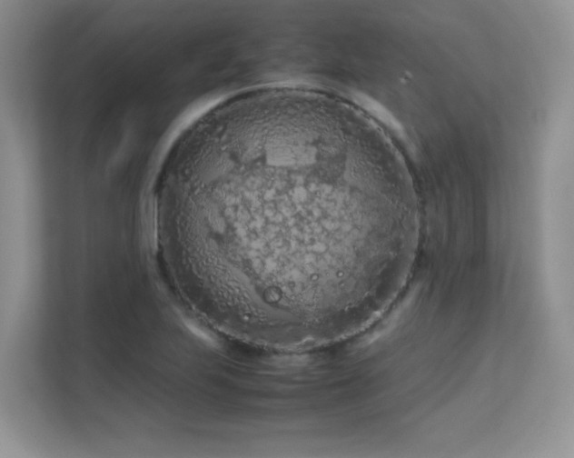 X0000112211223200908071447