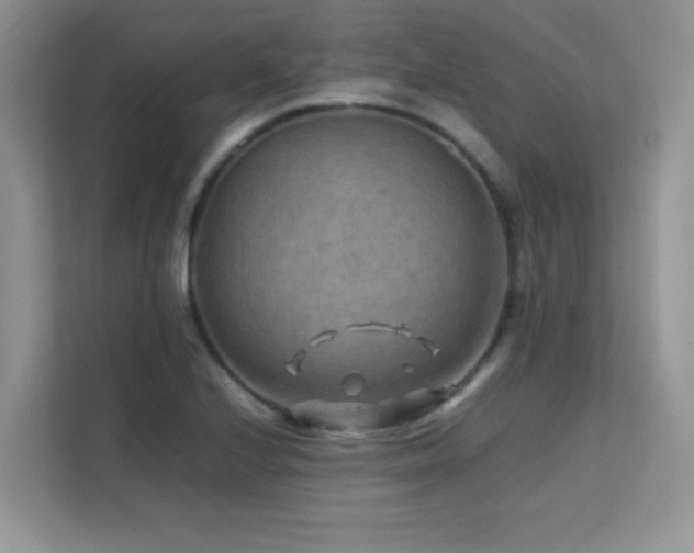 X0000112211224200908071447