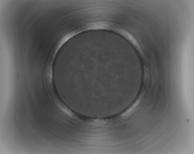 X0000112211226200908071447