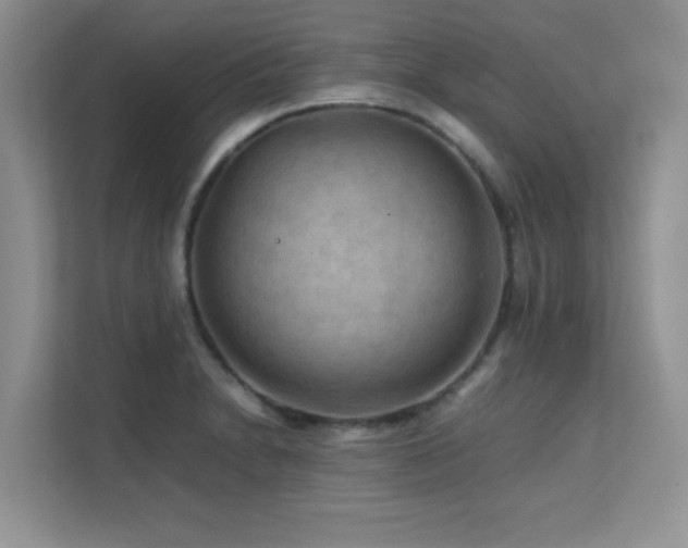 X0000112211230200908071447