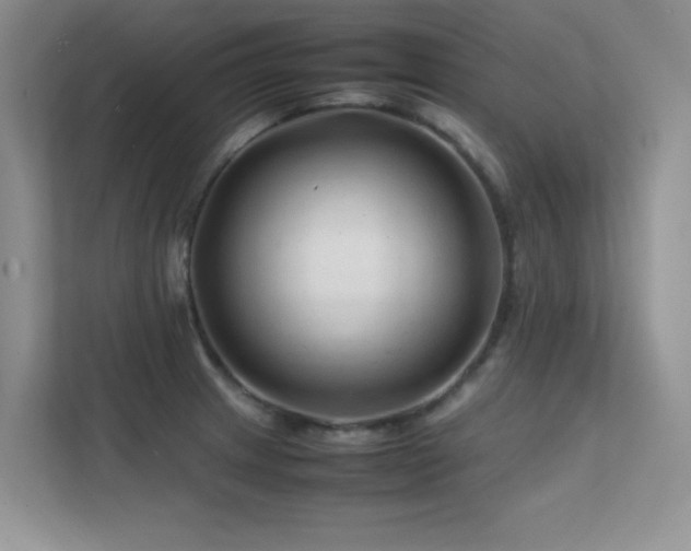 X0000112211233200908071447