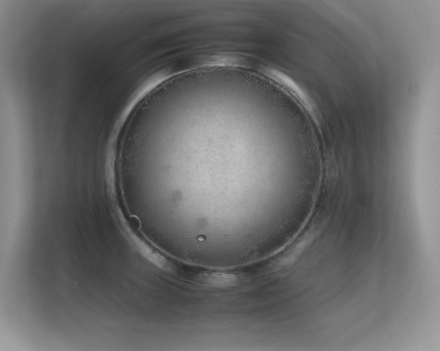 X0000112211235200908071447