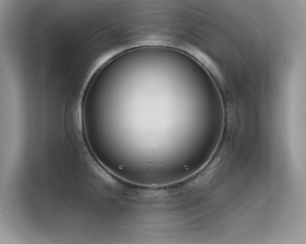 X0000112211238200908071447