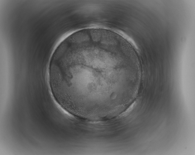 X0000112211239200908071447