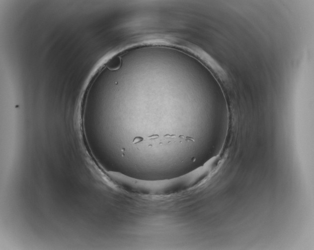 X0000112211240200908071447