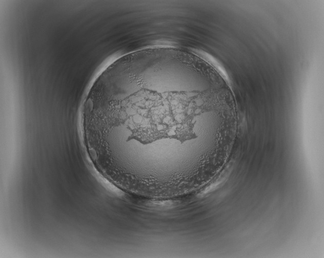 X0000112211243200908071448