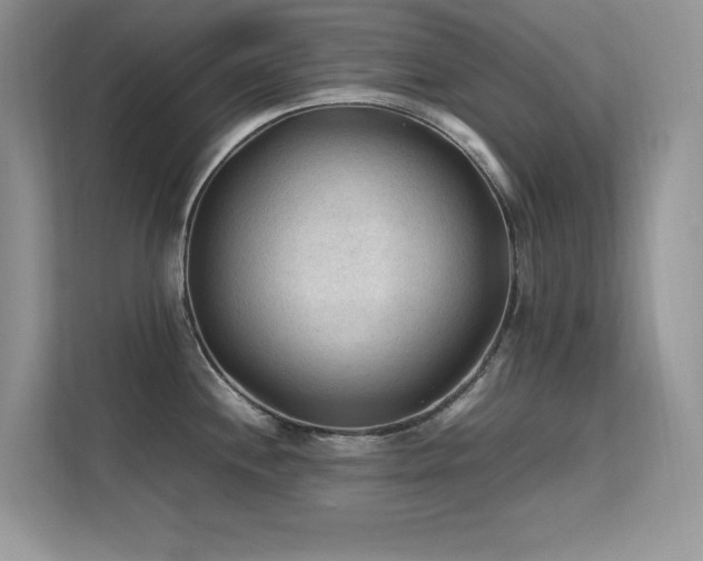 X0000112211244200908071448