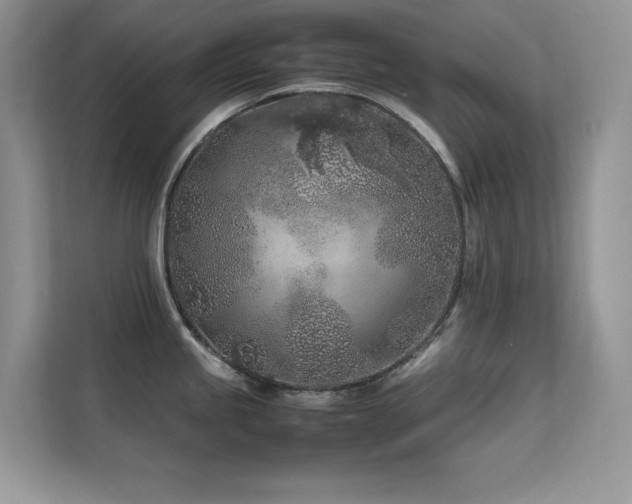 X0000112211245200908071448