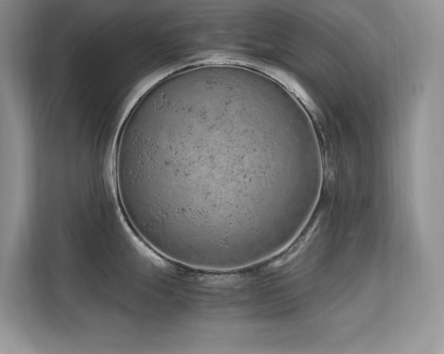 X0000112211247200908071448