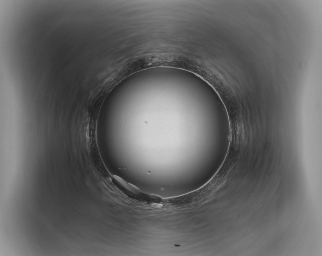 X0000112211250200908071447