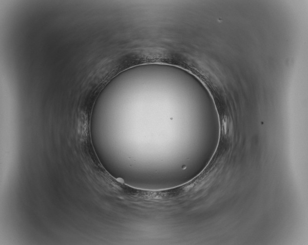 X0000112211251200908071447