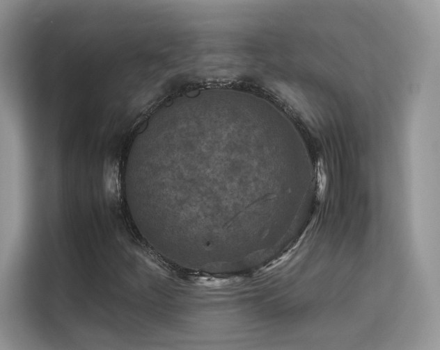 X0000112211252200908071447
