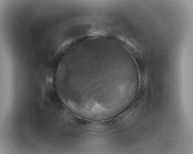 X0000112211254200908071447