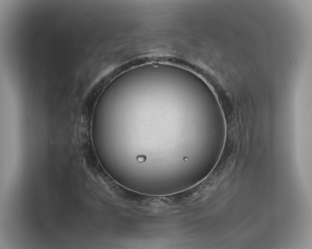 X0000112211255200908071447