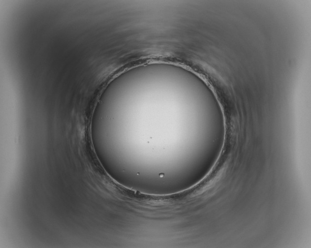 X0000112211257200908071447