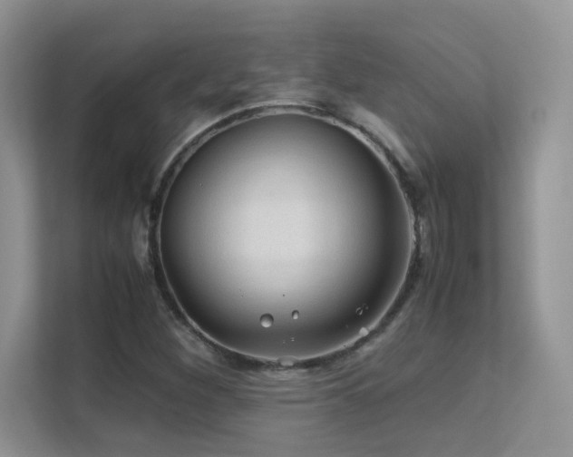 X0000112211260200908071447