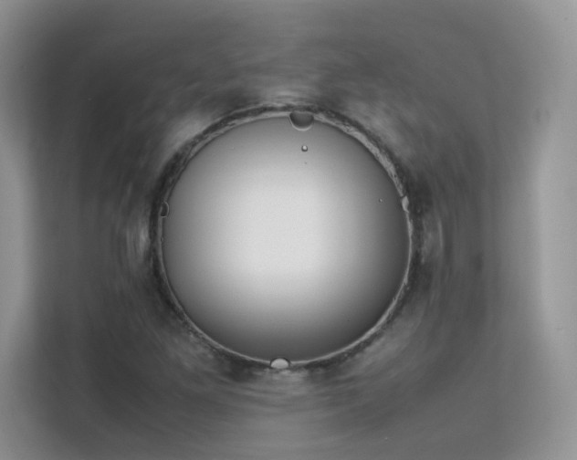 X0000112211261200908071447