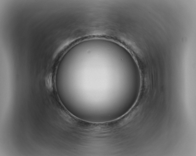 X0000112211262200908071447