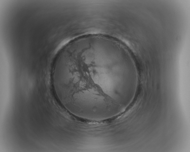 X0000112211263200908071447