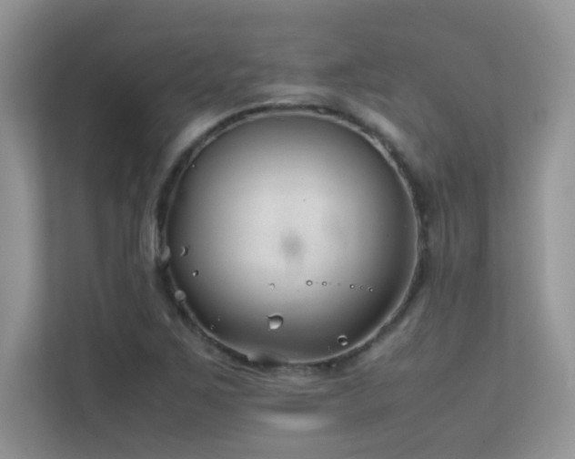 X0000112211267200908071447