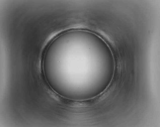 X0000112211270200908071447