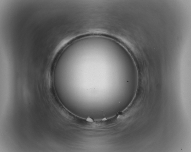 X0000112211271200908071447