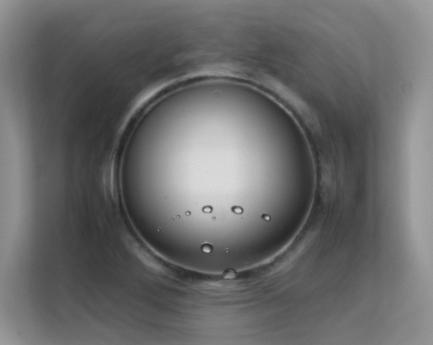 X0000112211272200908071447