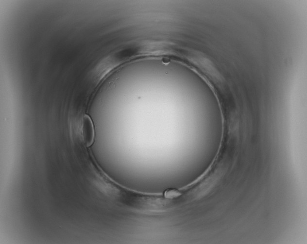 X0000112211273200908071447