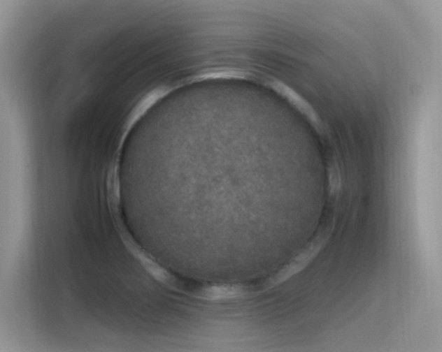 X0000112211274200908071447